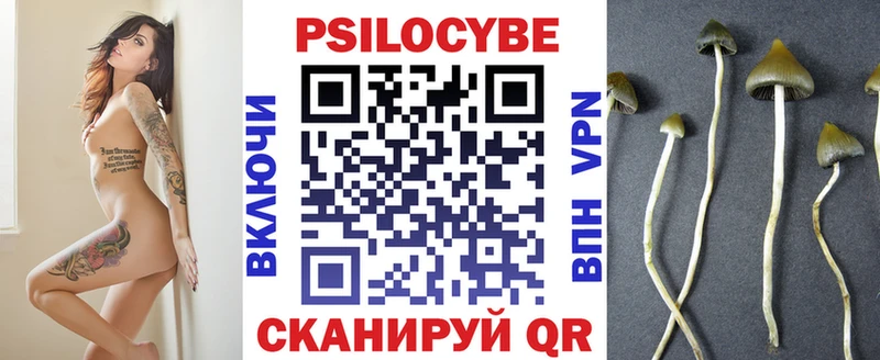 Галлюциногенные грибы Cubensis  закладки  Каневская 